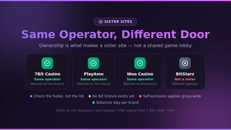 Which brands share Bizzo Casino's operator and which only share a games platform